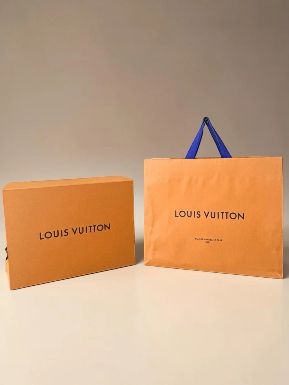Louis Vuitton Large Gift Bag & Box